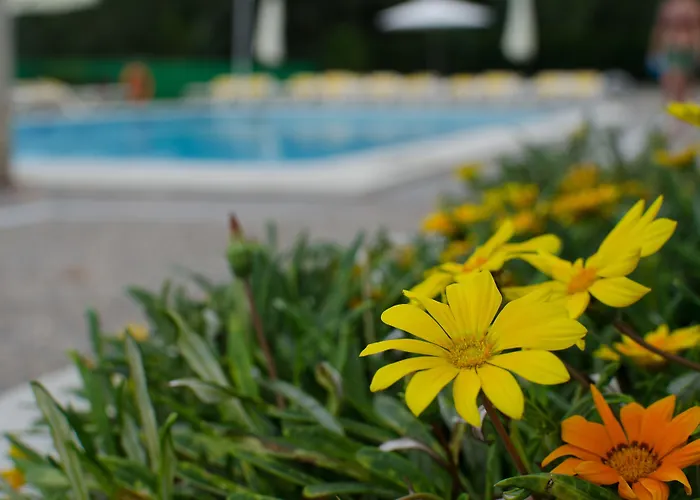 埃尔斯罗斯公寓式酒店 4*