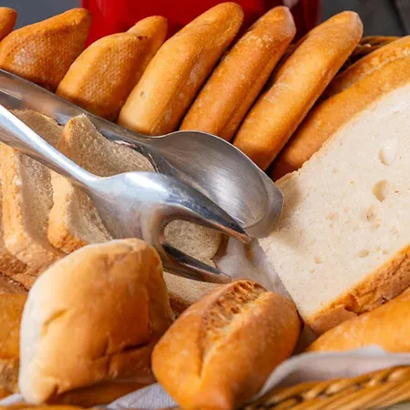 Els Llorers Lägenhetshotell Lloret de Mar